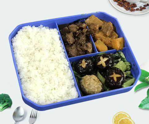 Dienbladen van de kinderen de Opnieuw te gebruiken Plastic Lunch voor zich Sociale Groepen het Richten